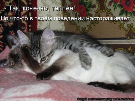 1308970569_921076.jpg