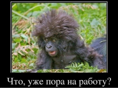 wvVq8Czl5OU.jpg