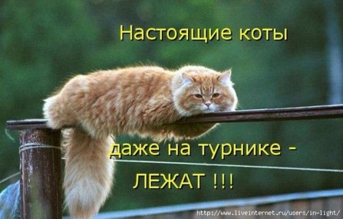 proxy_imgsmail_ru[2] (2).jpg
