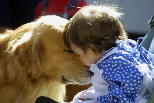 67340786_1291283244_1270475915_19_pets_and_kids.jpg
