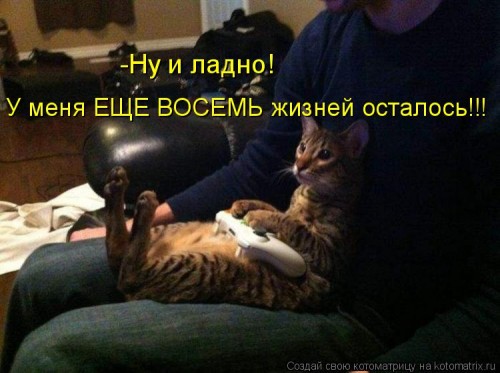 1093489.jpg