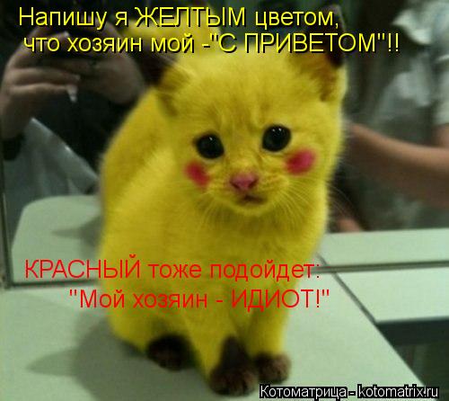 kotomatritsa_dX.jpg