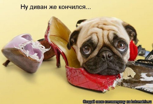 kotomatritsa_K.jpg