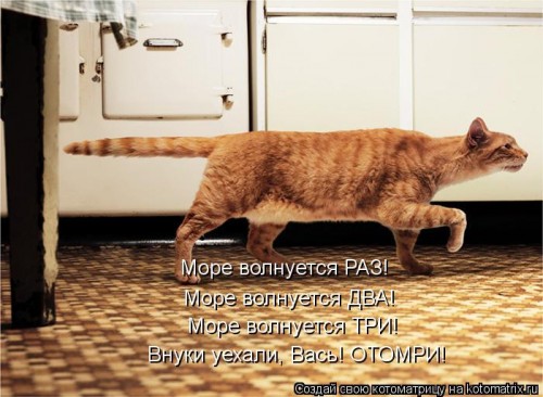 kotomatritsa_n.jpg