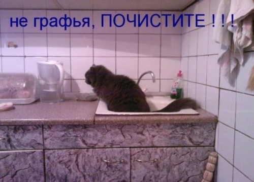 0_4d760_61092df2_XL.jpg