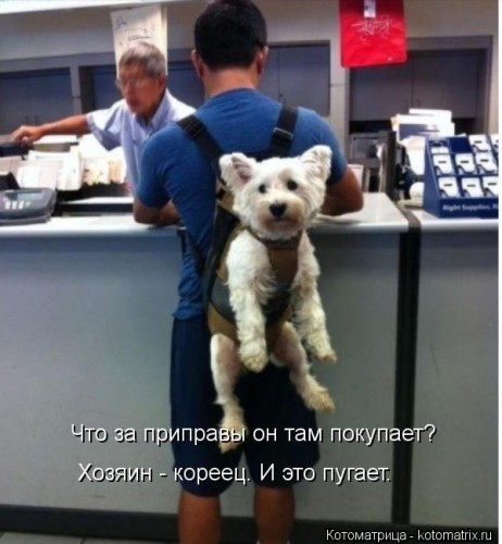 kotomatritsa_Ep.jpg