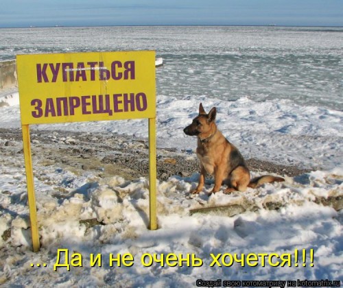 kotomatritsa_p-.jpg