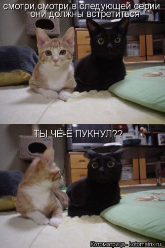 kotomatritsa_C.jpg