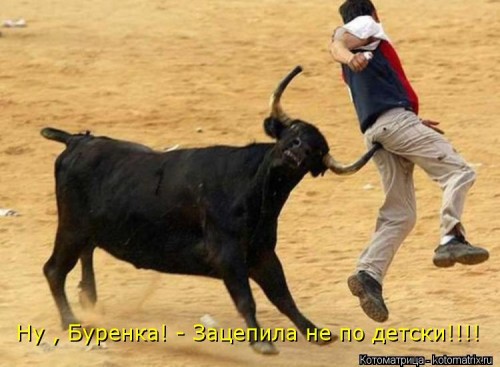 kotomatritsa_V.jpg