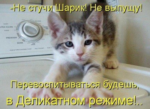 vbbaPoNAMvQ[1].jpg