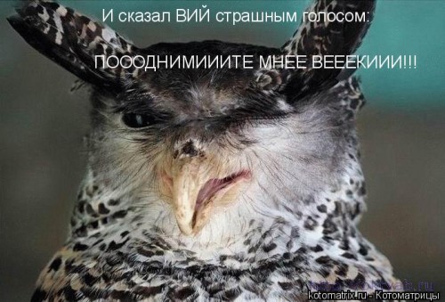 A,.jpg