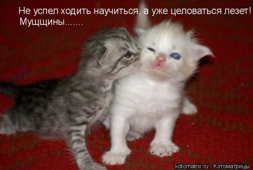 ф.jpg