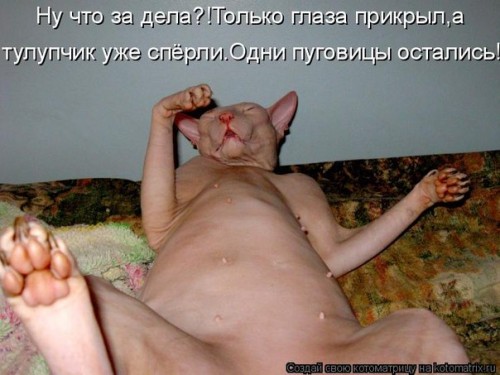 wsy0a9-KW4I.jpg