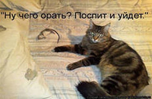 i как смарт-объект-1.jpg