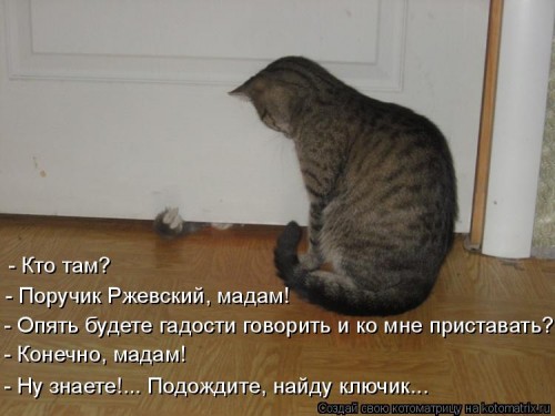 1244180835_km_28.jpg