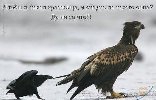 r1.jpg