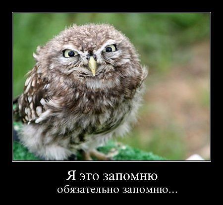 r15.jpg