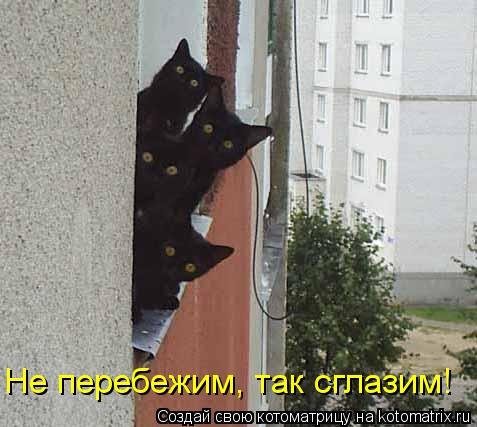 os4PeTB6cGQ.jpg