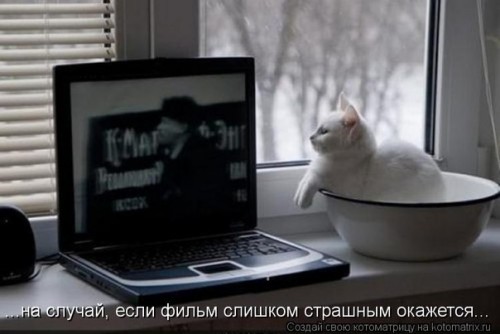 HuMPIIvkBXg.jpg