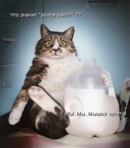 qnbjBdWLL38.jpg