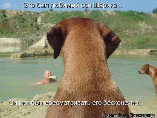 Zk.jpg