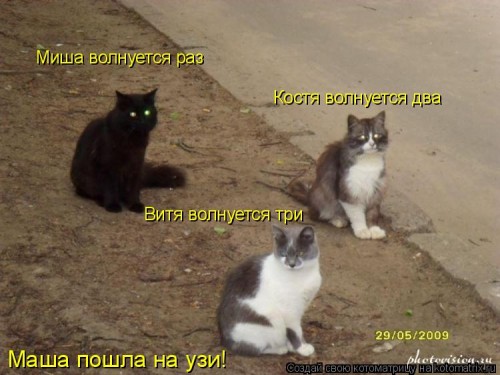 L8.jpg