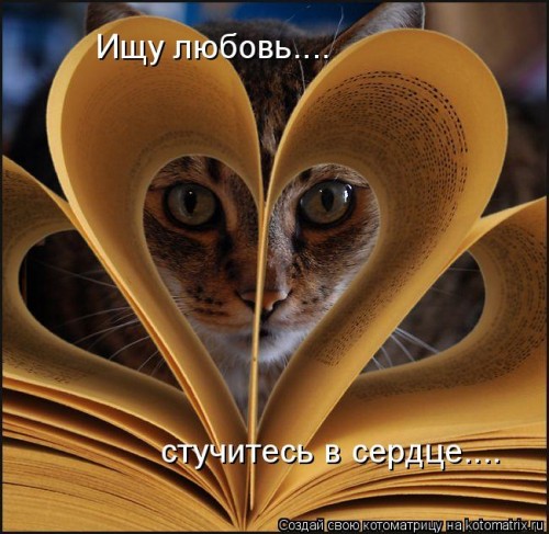 pU.jpg
