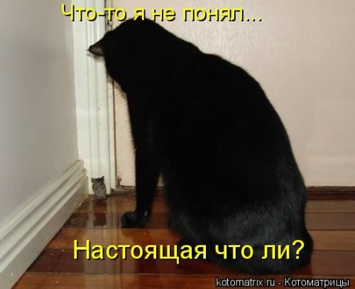 e-h4tG9yA-M.jpg