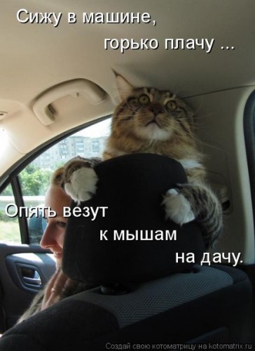 I4iy2hnU_xE.jpg
