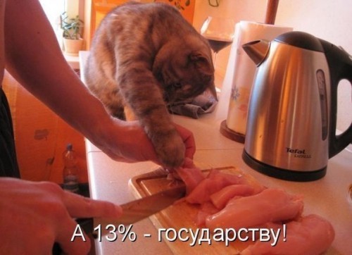 ZKr9KJRgTCE.jpg