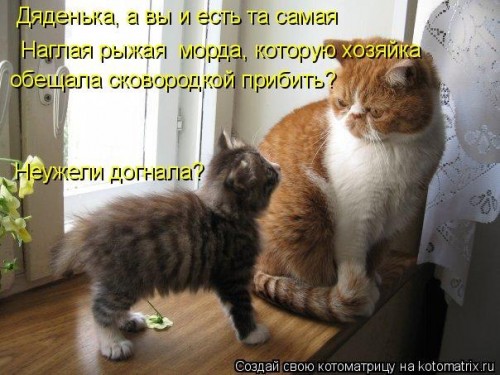 qcZJbjwFZQE.jpg