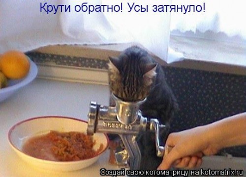 1010219.jpg