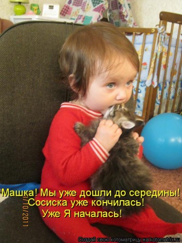 1013070.jpg