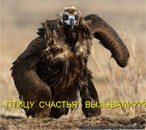 1031364.jpg