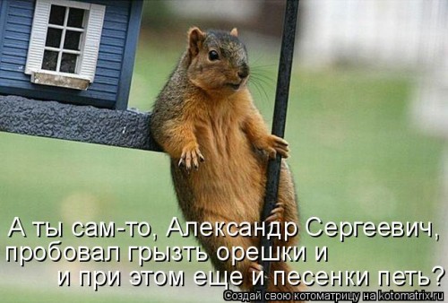 1034120.jpg