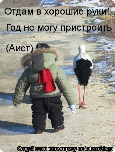1035793.jpg