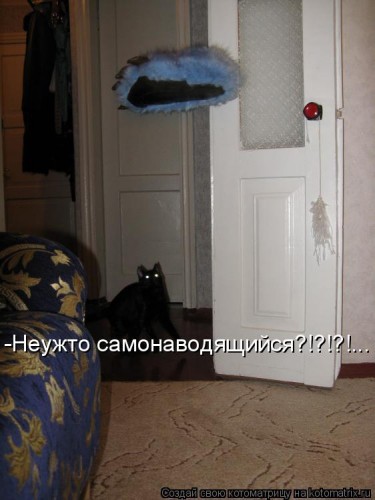 1096586.jpg