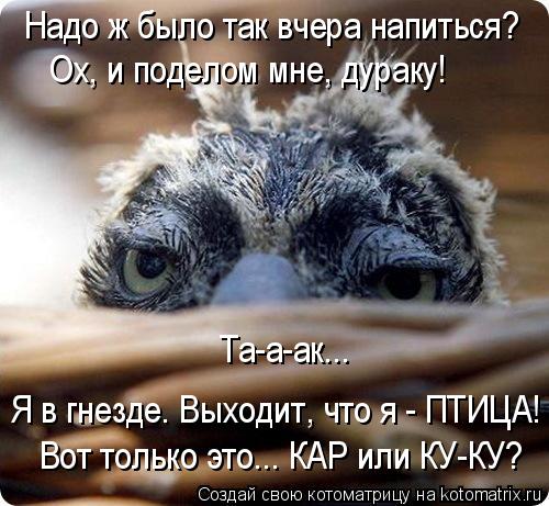 1102086.jpg