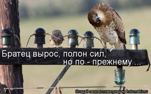 1150360.jpg