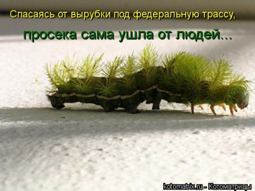 1160615.jpg