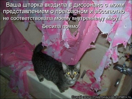 kotomatritsa_nv.jpg