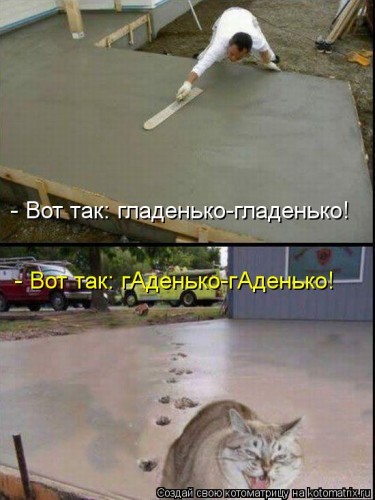 kotomatritsa_op.jpg