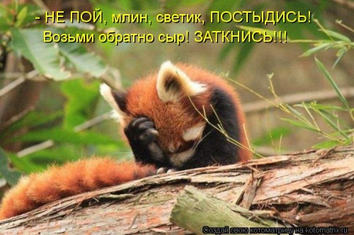 kotomatritsa_P.jpg