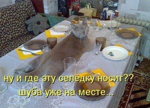 DPOCAHYE9VICAP689YFCAW3B7IFCAKUT4SWCAL5A7KKCAP6AB98CAF8KWZUCACD7RSICAT3P2XCCAO4E0G3CAZ8JXYBCAQ363BPCA8SGZ4PCARPV63WCACX81IOCAL5KW4FCAJRLYHYCATA1INFCAE12LBF.jpg