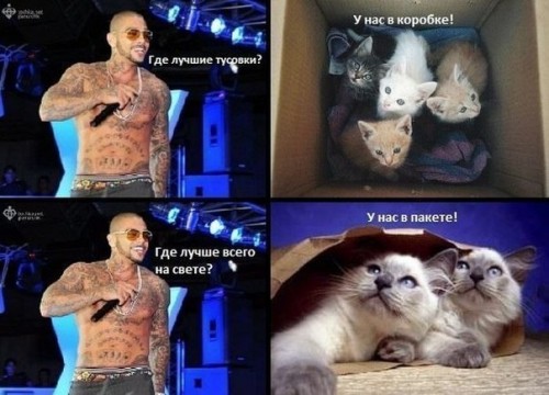 uQmGvSoYubg.jpg