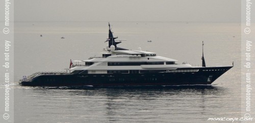 alfanero017.jpg