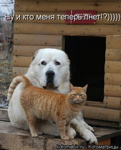 AFItF9T5ky4.jpg