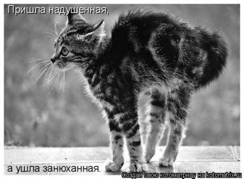 Eus9N3it6TA.jpg