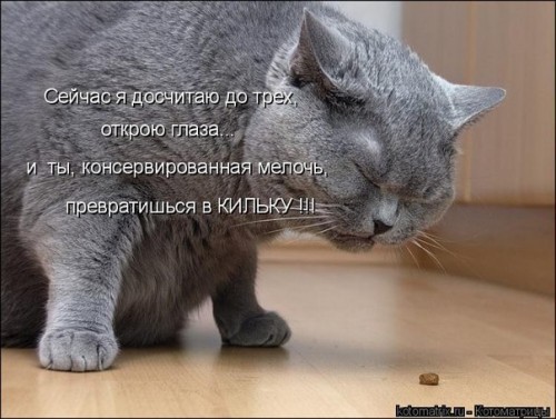 o3s2TsYTVTk.jpg