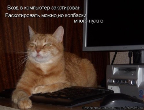 pLQ2xeogxt4.jpg